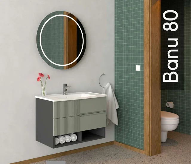 Banu 80