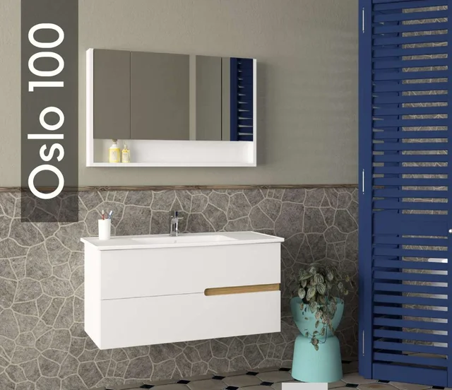 Oslo 100
