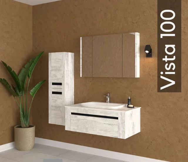 Vista 100
