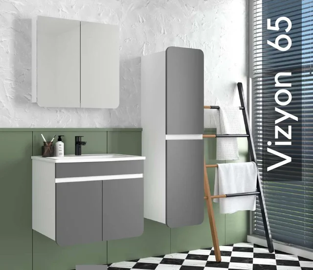 Vizyon 65