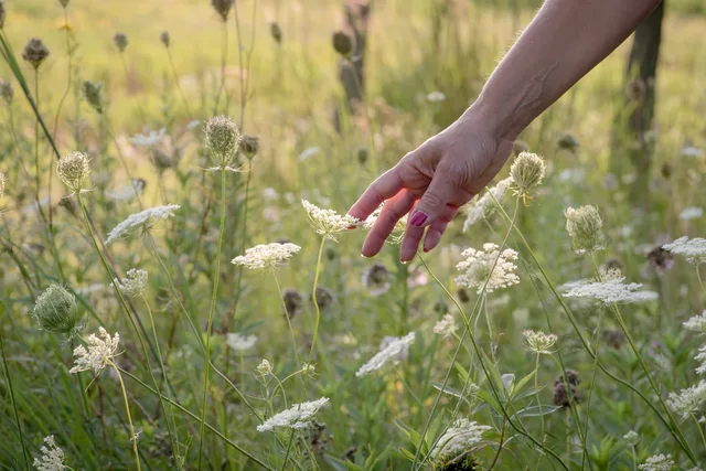Soft Touch